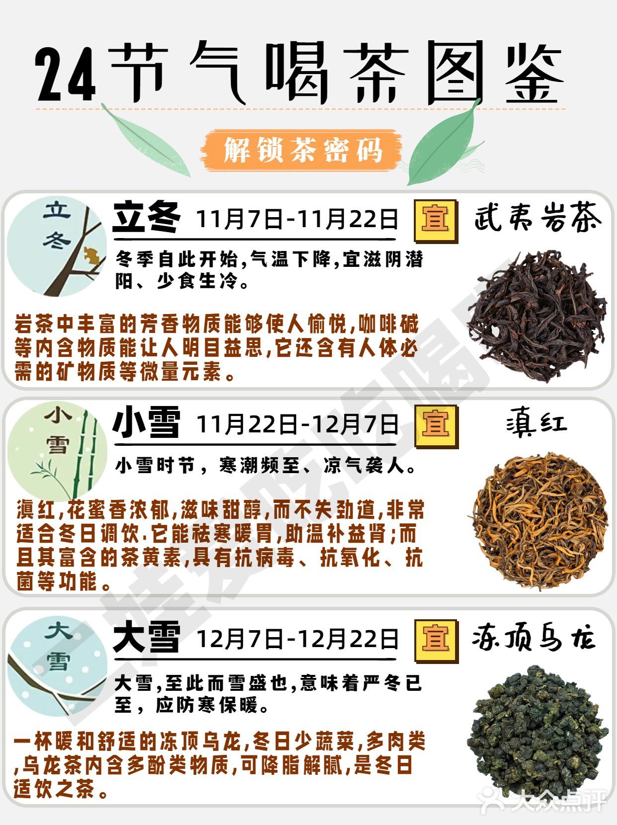 24节气喝茶图鉴🍃解锁茶密码
