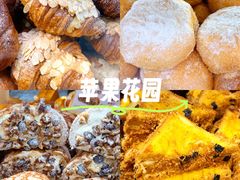 -苹果花园(枫林路店)