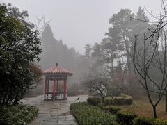 -庐山风景区花径公园