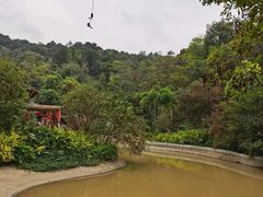 -云溪植物园