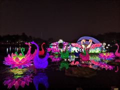-映月湖公园