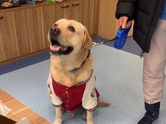 -萌兽医馆·犬猫专科·眼科中心·宠物医院(朝阳门分院)