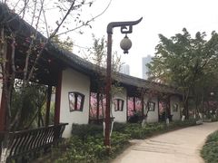 -重庆彩云湖湿地公园
