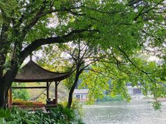 -荔湾湖公园