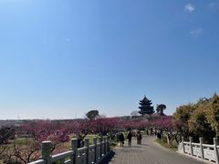 -上海海湾国家森林公园