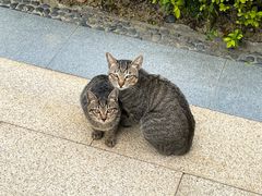 -万达广场(南宁青秀店)