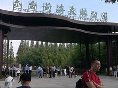 -黄海国家森林公园