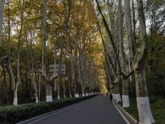 -钟山体育运动公园