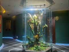 -泰悠谷养生SPA(世茂商业街店)