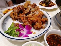 脆皮肘子-新侨小馆(东直门北小街店)