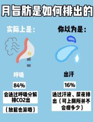-Fundi张玉珊修身堂·indiba·BTL科技瘦身