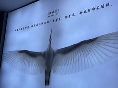-白鹭·江南宴(茂悦东荟城店)