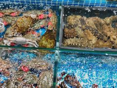 -江杨农产品批发市场