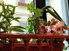 -杨乐辣子鸡(和田一街店)