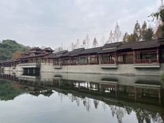 -重庆彩云湖湿地公园