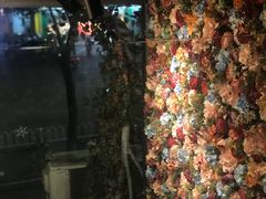 -靓蛙馆