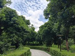 -月亮湾公园