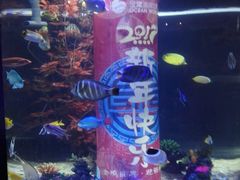-常州海昌海洋探索馆
