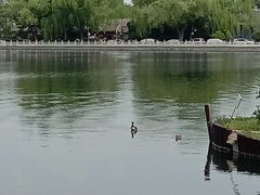 -后海公园