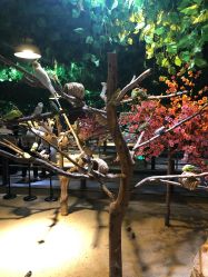 -酷嗒动物文化乐园(cutezoo西溪乐天城店)