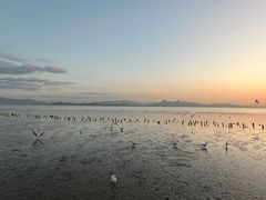 -深圳湾公园(南山区)