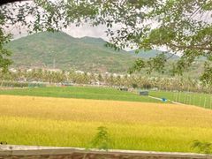-亚龙湾热带天堂森林公园