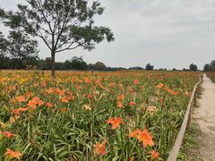 -汉长安城未央宫国家考古遗址公园