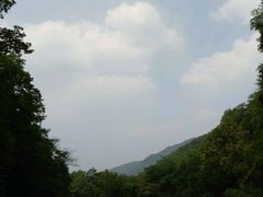 -龙道沟景区