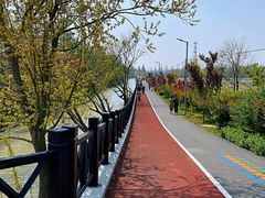 -上海长兴岛郊野公园