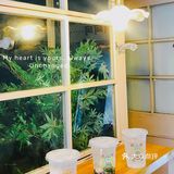 苏小六·国民饮料商店|| 9.9 get超大杯正宗苏式绿豆汤