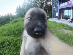 -火叮叮自助烤肉·现切牛肉(茂业店)