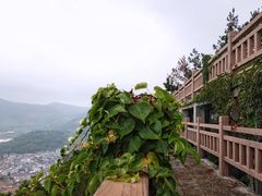 -小皓村