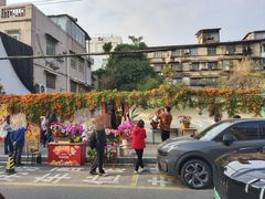 -溪岸路花鸟市场