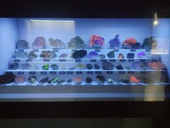 -湖南省地质博物馆