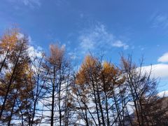 -秦岭风景区