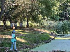 -长白岛森林公园