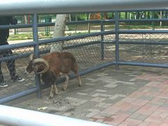 -长白岛森林公园