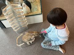 -FAIRYLAND龙族星球主题餐厅(凯丹广场店)