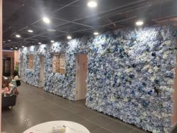 -doladola(徐家汇店)