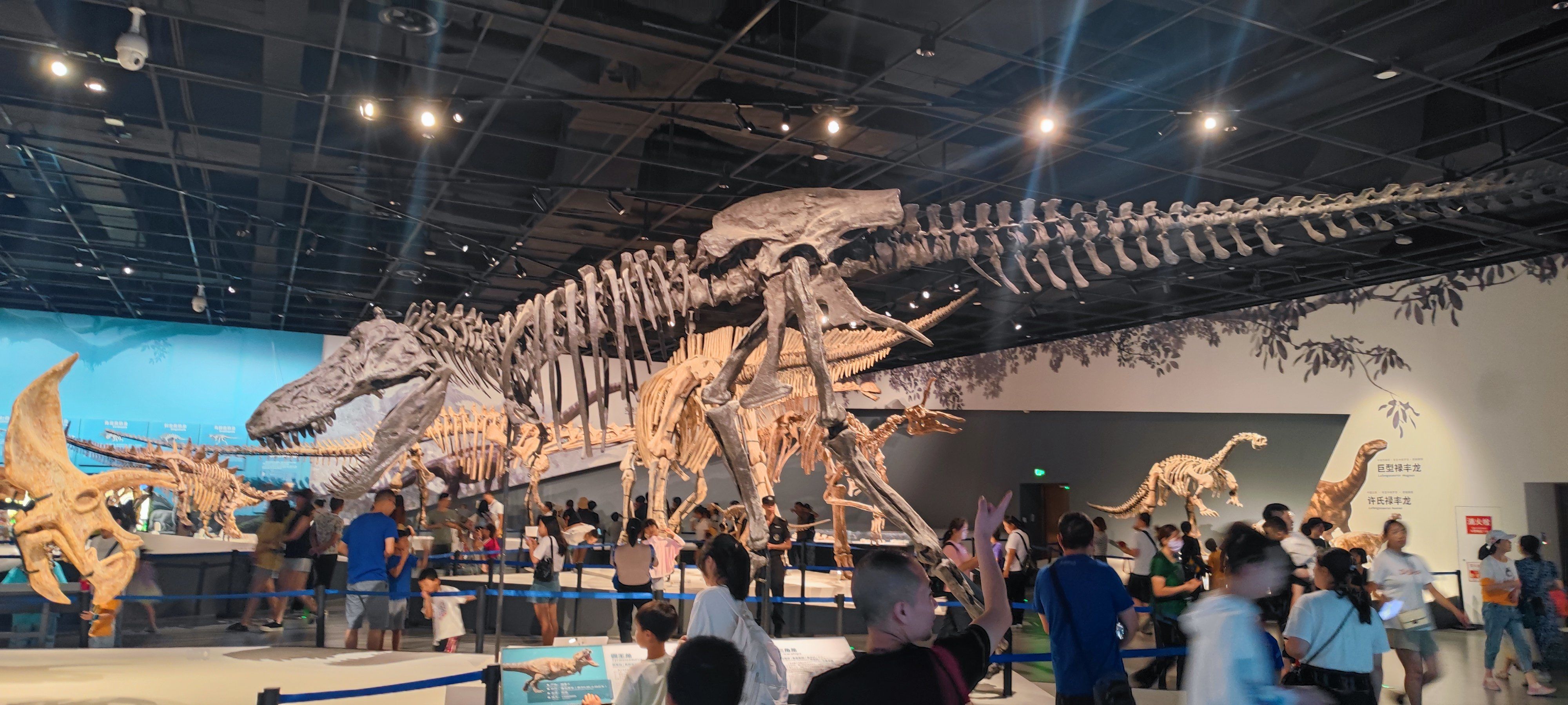 恐龙博物馆,终于见到了校徽上的"小"恐龙