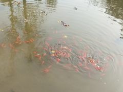 -白水寺森林公园