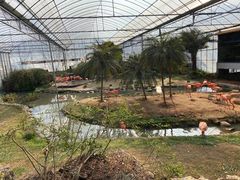 -无锡动物园·太湖欢乐园