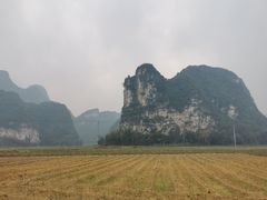 -明仕田园
