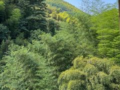 -莫干山风景区
