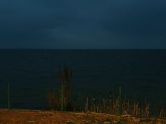 -西京湾花海