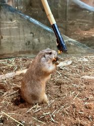 -Zoolung Zoolung动物主题公园(海信广场店)