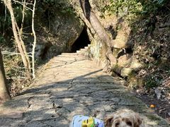 -大慈岩风景区