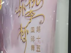 -中央芭蕾舞团·中芭艺蕾(酒仙桥明星校区)