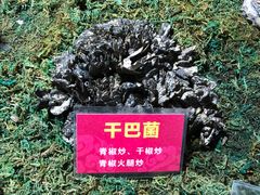 -朱家小厨(红塔西路店)