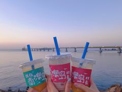 -南澳岛打卡果汁冰公司